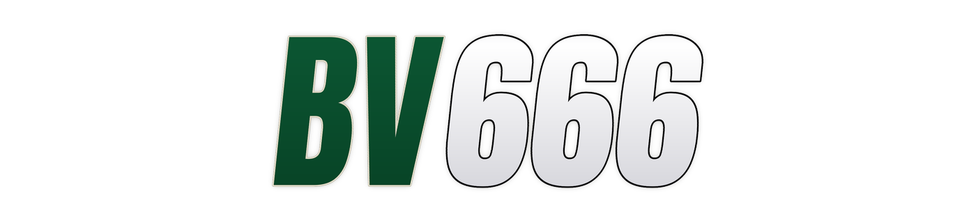 bv666 Logo